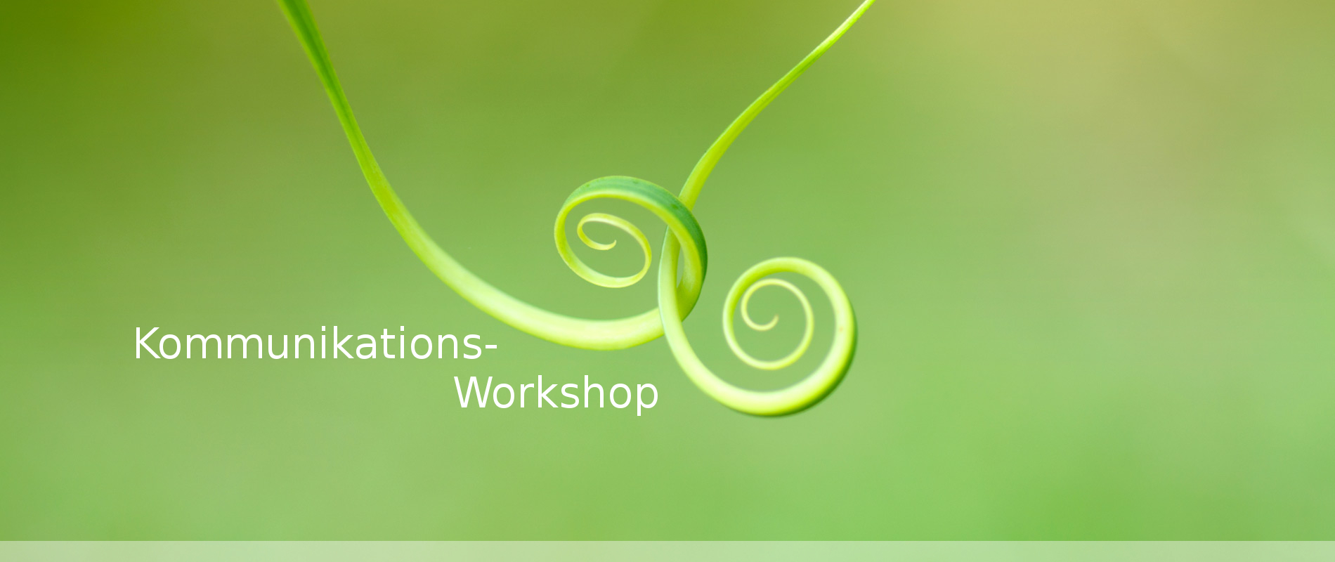 Kommunikationsworkshop